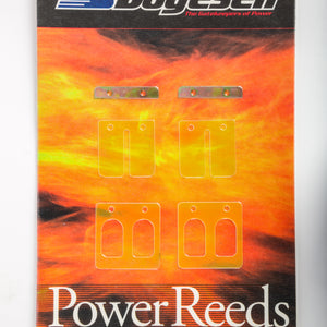 Motorcycle Reeds