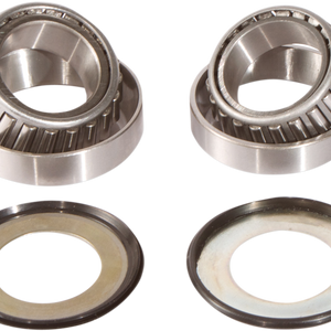 PIVOT WORKS Steering Stem Bearing Kit - Honda PWSSK-H01-521