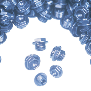 WORKS CONNECTION Oil Plug - Blue - Kawasaki/Suzuki/Yamaha/Honda 24-002