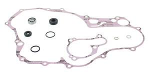 Water Pump Rebuild Kit