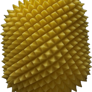 Air Filter Proline