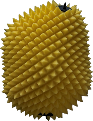 Air Filter Proline