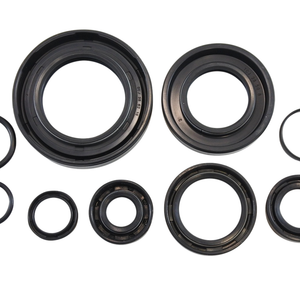 VINTCO Oil Seal Kit - Honda KOS006