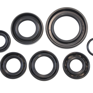 VINTCO Oil Seal Kit - Honda KOS002
