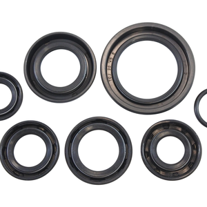 VINTCO Oil Seal Kit - Honda KOS003