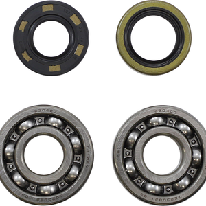 VINTCO Main Bearing and Seal Kit - Kawasaki KMB008