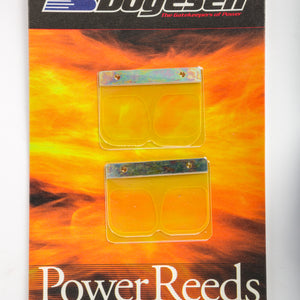 Motorcycle Reeds