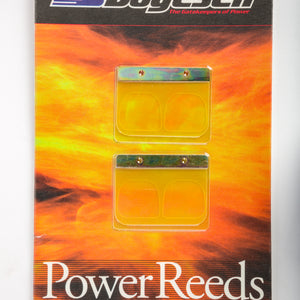 Motorcycle Reeds