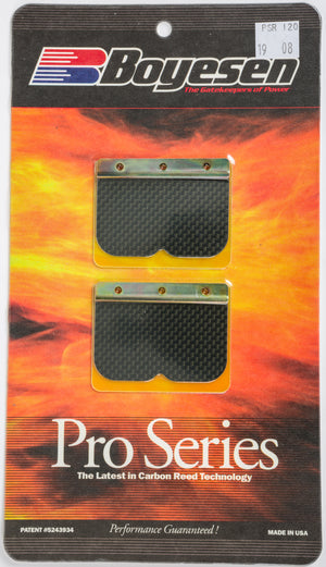 Motorcycle Pro Reeds