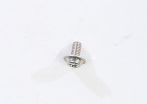 Screw