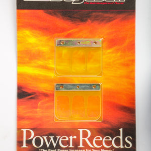 Motorcycle Reeds