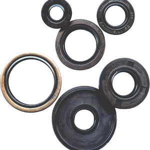 Oil Seal Set