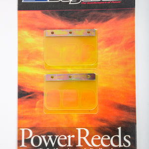 Motorcycle Reeds