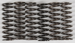 High Temp Springs 6 Springs