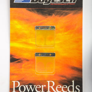 Motorcycle Reeds