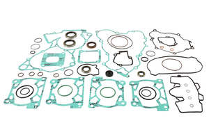 Complete Gasket Set With Oil Seals