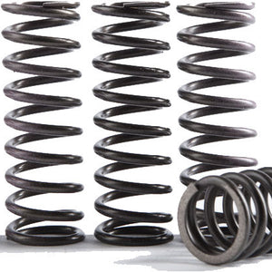 High Tempurature Spring Kit