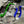 2024-2026 Kawasaki KX500 Drop-in Engine Package
