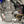2024-2026 Kawasaki KX500 Drop-in Engine Package