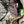2024-2026 Kawasaki KX500 Drop-in Engine Package