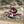 Two-Strokes Only 2026 Honda CR500
