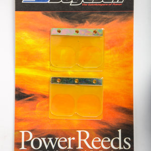 Motorcycle Reeds