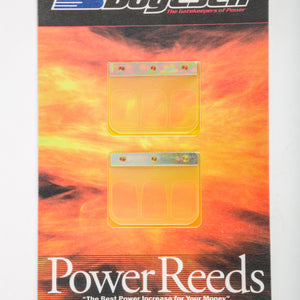 Motorcycle Reeds