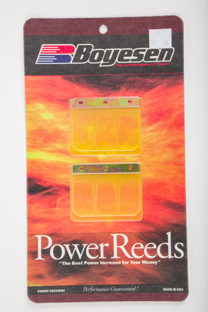 Motorcycle Reeds