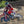 2021-2026 Honda CR500 Drop-In Engine Package